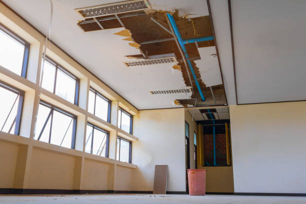 Best Carpet water damage restoration  in Newport, KY