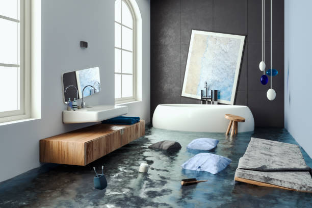 Best Mold removal after water damage  in Newport, KY