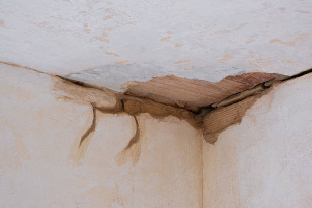  Newport, KY Water damage restoration Pros