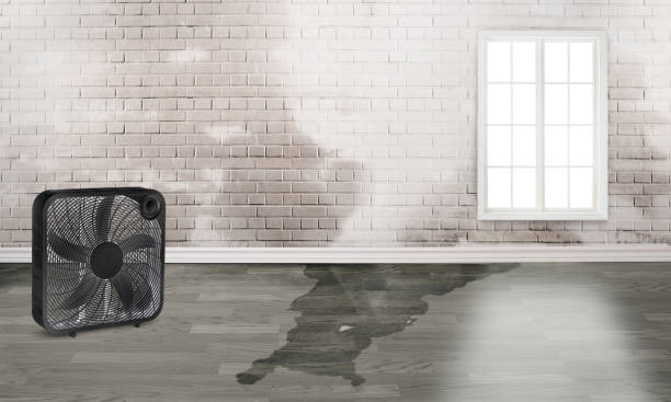 Best 24-hour water damage restoration  in Newport, KY
