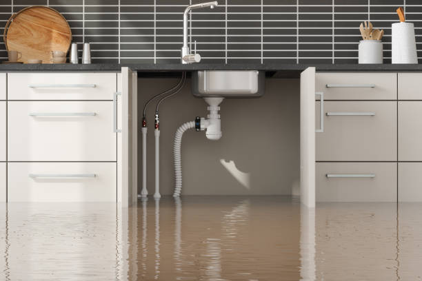 Best Flooded house restoration  in Newport, KY